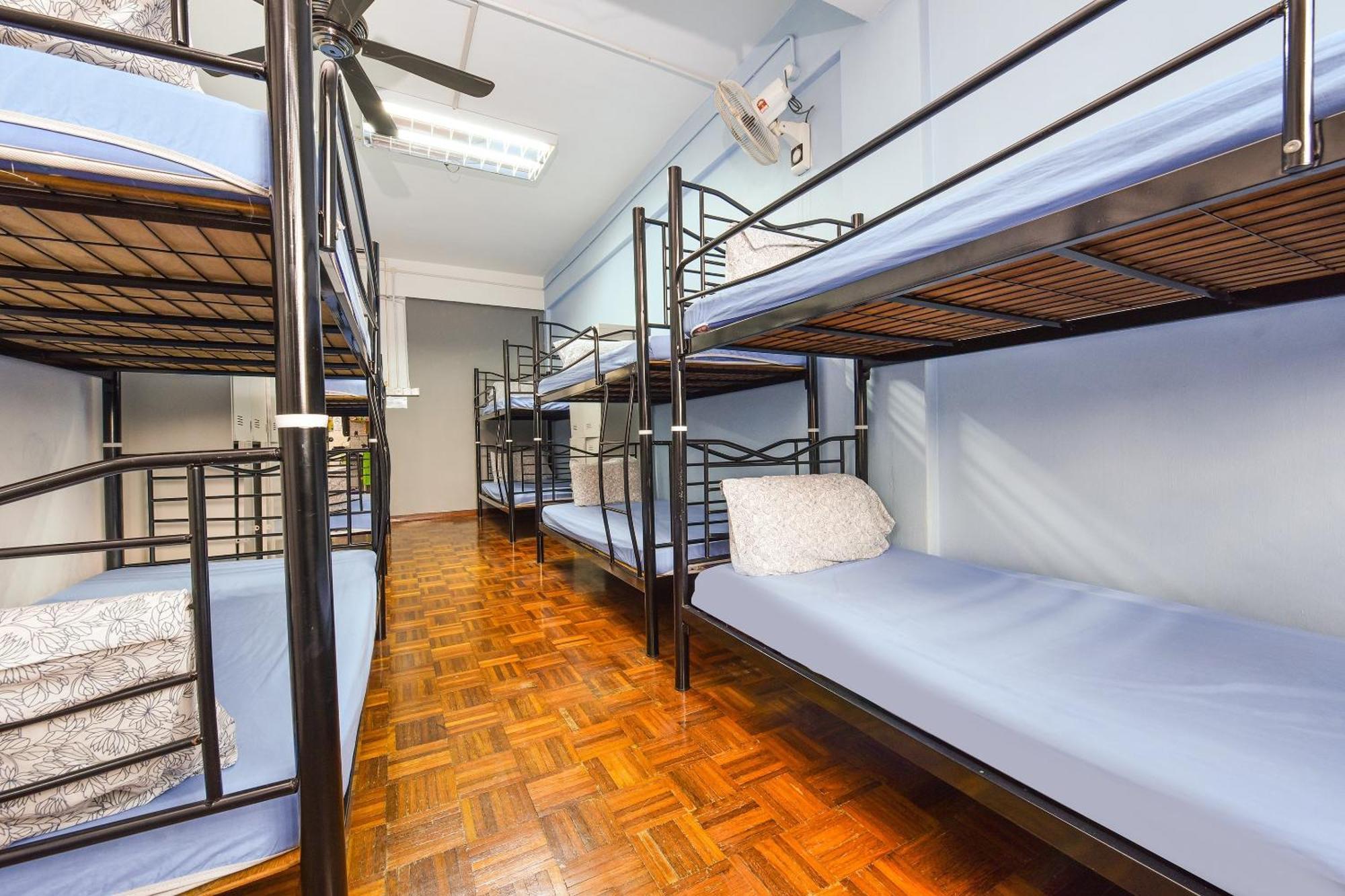 Spot On 89872 Backpackers